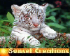 A Tiger Cub wallhang/rug