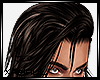 BARAZ Brown v3