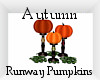 Autumn Runway Pumpkins