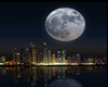 New York Night Beach