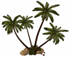 palm tree group