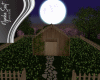 Moon Cabin