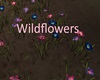 Wildflowers