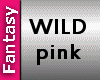 [FW] wild pink