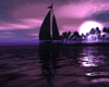 [M1105] Purple Lake