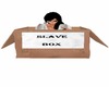 SLAVE BOX