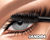 Big Lashes T3
