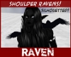 Midnight Shadow Ravens