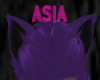 !A Purple/Black Cat Ears