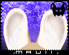 🎧|Fennec Fox Ears 2