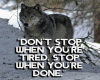 6v3| 30 Wolf Quote Pics