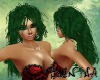 )S( Green Witch Hazel