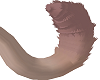 Dusty Tail 1