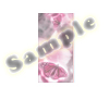 C - Pink Butterfly