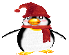 Red Penguin Suit
