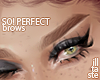 SO! Perfect. brows 04