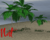 ruma Desert Paradise