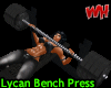 Lycan Bench Press