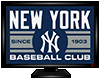 N.Y. Yankees Mat 3