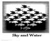 Sky and Water - Escher
