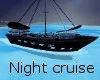 Night time cruise