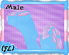 {FL}Tranz Paws