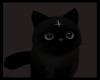 PET-Midnight