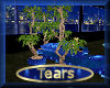 [my]Tears Club Plant