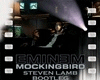 mockingbird  remix