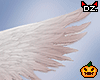 D. Hell Angel Wings!