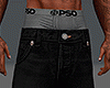 Y2K Baggy R. star