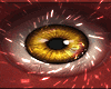 Odell Sunburst Amber Eye
