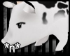 *N*CowPig[Pet]