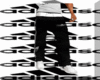 SD  Joggers