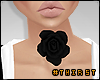 T| Black Neck Rose