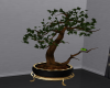 Bonsai Tree w/LoveBirds