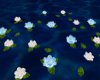 Ani Floating Blue Roses