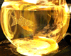[kyh]golden_fish