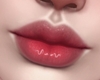 M. Lip LMTD #02