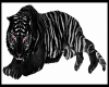 Black Tiger 