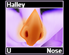 Halley Nose