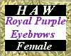 Royal Purple Eyebrows F