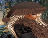 Brown Leather & fur hat