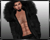 Winter Bundle