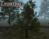 JL Derriaran Tree 2