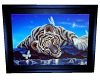 blue. white tiger2 pic