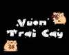 𐙚|Mz|CustomVTCM