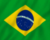 brasil flag animed