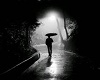 Picture Solitude