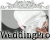 Small wedding Veil